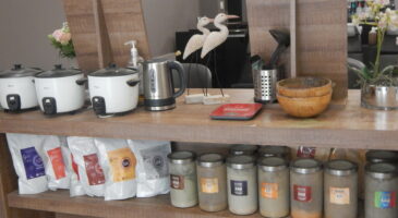 Bianchini Coiffure : le végétal pour vos cheveux