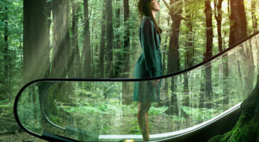 L'éco-conception, un enjeu essentiel pour les cosmétiques