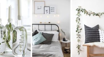 Eucalyptus : 35 façon de l'utiliser dans la maison !