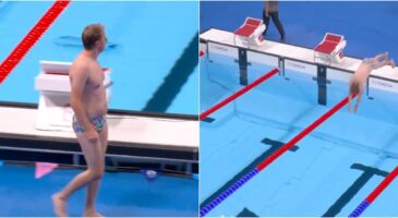 JO 2024: Un drôle d’intrus dans le bassin olympique