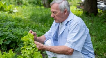Johan, policier à la retraite de 71 ans, nourrit son quartier depuis 34 ans grâce à son jardin partagé, "le jardinage a toujours fait partie de ma vie"