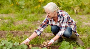 "Quand ma retraite tant attendue est enfin arrivée, je me sentais inutile. J’ai connu une renaissance grâce à un potager"
