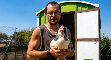 "Il y a 8 ans, j’ai tout quitté pour vivre en autosuffisance dans un village isolé : j'ai des œufs de mes poules, des fruits et des légumes de mon jardin"