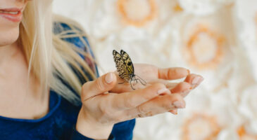 "Un papillon s'est posé sur moi" : fortune ou malchance ? Voici l’incroyable signification
