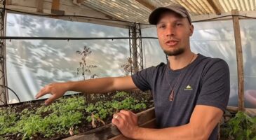 Jean, 29 ans, a quitté son emploi pour aller vivre à la campagne : "J'ai arrêté de payer 1 000 € par mois de loyer et maintenant je produis ma propre huile d'olive biologique"
