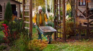 Caché dans votre jardin, ce trésor naturel, surnommé « l'or des jardiniers », va le révolutionner cet automne