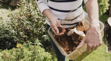 Compost au jardin : pourquoi l’automne est idéal