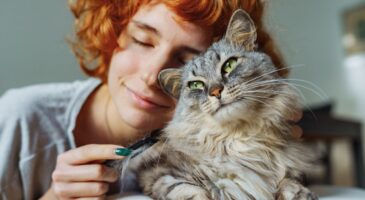 Emiliano Linardi, expert en comportement animal : "La personne préférée des chats est toujours celle qui respecte leurs limites"