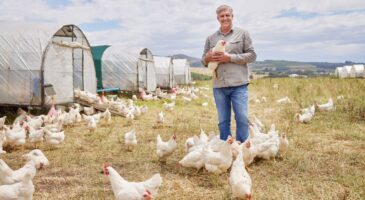 Yves, agriculteur, fabrique ses granulés pour l'automne : “Je produis des granulés à partir des fientes de mes poules pondeuses”
