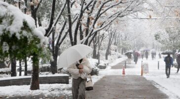Jusqu’à 10 °C en moins : une masse d’air polaire et de la neige arrivent dès ce week-end en France après les chaleurs records