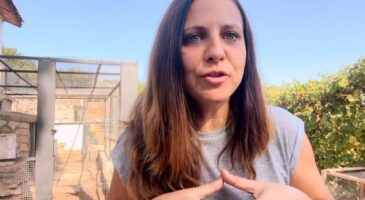 Lidia vit en autosuffisance : "S’il y a une autre panne de courant et qu’elle dure longtemps, je sais que je pourrais nourrir toute ma famille"