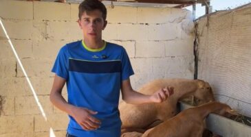 David, 19 ans, a commencé avec une seule chèvre à l'âge de 12 ans et possède maintenant un troupeau de 200 têtes : "Ce n'est pas un travail, c'est ma vie"