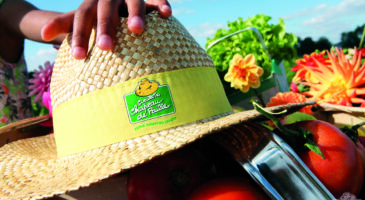 Les 30 ans des Cueillettes du Chapeau de Paille