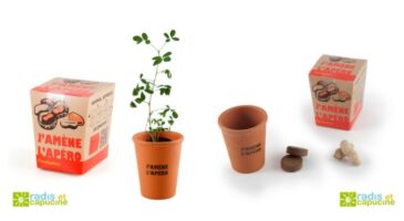 Radis et Capucine : Les kits réjouissants à planter et à déguster