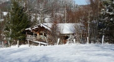 Vosges Bleu Vert : des chalets atypiques et chaleureux en pleine nature