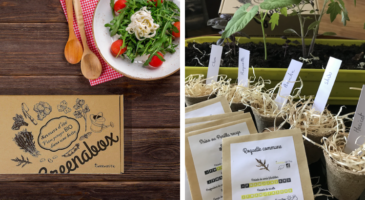 Greenabox, une box potager chez vous à chaque saison