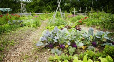 3 raisons faire dessiner son jardin par un architecte