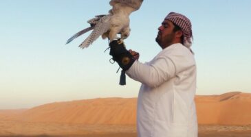 Pourquoi aller à Abu Dhabi ?