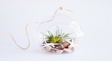 Déco : quelques idées pour votre intérieur