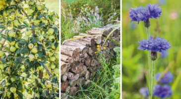 Jardiner, est-ce bon pour la planète ?