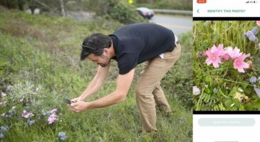 Identifiez les plantes et les animaux gratuitement