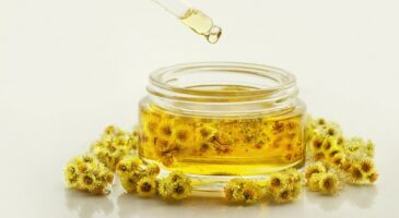 Secret de beauté de Corse : l'Immortelle