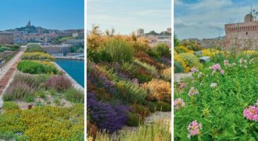 Reportage : le jardin méditerranéen des migrations à Marseille