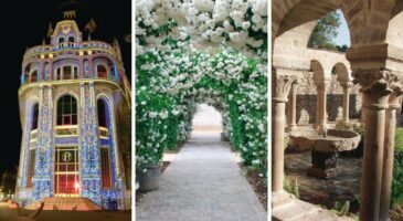 Jardin : l’agenda du mois de septembre 2019