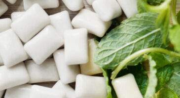 Forest Gum, le chewing-gum écolo