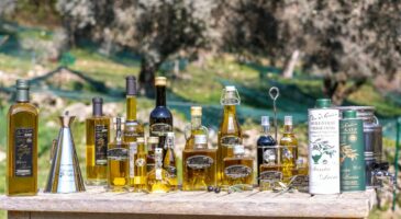 La Cave à huile Santa Lucia, à la découverte de l’huile d’olive