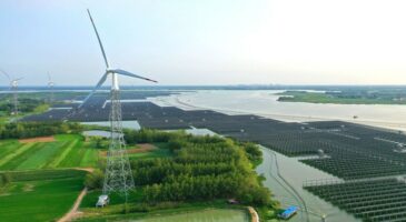 Investir dans les entreprises écologiques