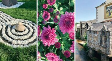 Jardin : l’agenda du mois d'octobre 2019
