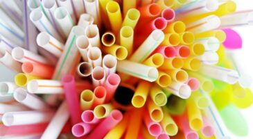 Voici les produits en plastique interdits à la vente dès 2021