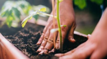 Préparer son jardin de printemps dès maintenant
