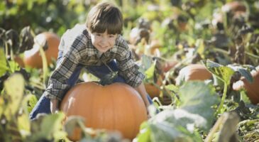 Top 12 des cueillettes à faire en famille