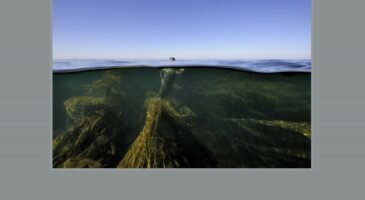 Immersion totale en photo