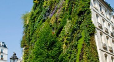 Municipales : Anne Hidalgo veut une capitale plus végétale