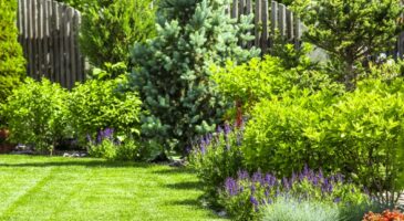 Jardin : comment agencer un petit espace ?