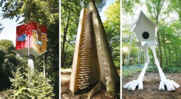 Jardin : l’agenda du mois de février 2020