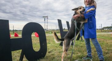 Confinement : l'adoption d'animaux de compagnie autorisée grâce à une dérogation