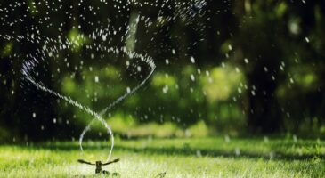Arrosage automatique : 10 conseils pour bien le choisir