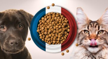 Bab’in, la marque engagée de croquettes Origine France Garantie
