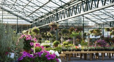 Truffaut ouvre une nouvelle jardinerie urbaine à Bastille