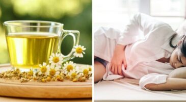 Camomille : 9 secrets incroyables sur cette plante