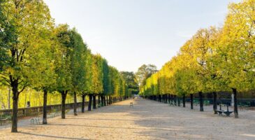 Reconfinement : les parcs, jardins et marchés resteront-ils ouverts ?