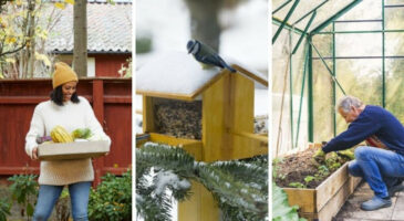 18 travaux à faire absolument au jardin en hiver