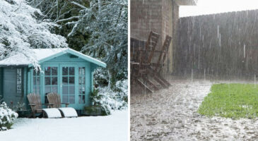 Pluie, vent, grêle : 12 astuces pour réparer les dégâts au jardin