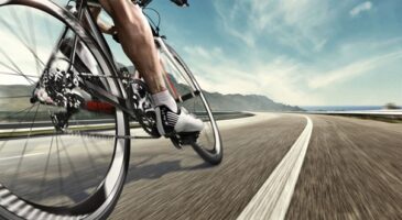 Le vélo dans tous ses états