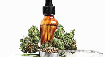 CBD et conduite : est-ce compatible ?
