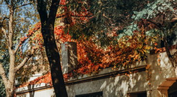 Ora Cat : 3 raisons d’adopter cette nouvelle voiture électrique au look rétro-futuriste